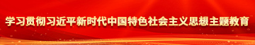 插入少萝屁眼里网站学习贯彻习近平新时代中国特色社会主义思想主题教育